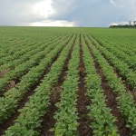 들판 사진 및 이미지 | Canva