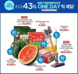 [ 롯데슈퍼 몰 - 핫세일 ] 원데이 빅세일 - 마트 - 마트몬