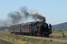 まとメシ：撮り鉄の「食」の思い出（69）復興進む石巻線女川駅でホヤ三昧／2011年～2019年 - 毎日新聞