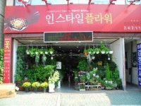 인스타일플라워 - 목포BIZ 인스타일플라워