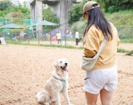 성동소식지 - 성동소식 - 성동뉴스