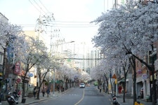 동작스케치(목록) < 사진 자료실 < 동작홍보관 < 우리동작 < 포털사이트