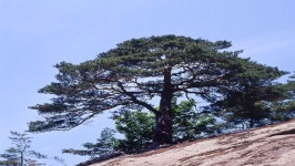 동작스케치(목록) < 사진 자료실 < 동작홍보관 < 우리동작 < 포털사이트