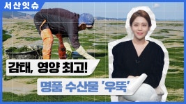 영상뉴스 목록 - 서산시청