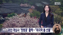 영상뉴스 목록 - 서산시청