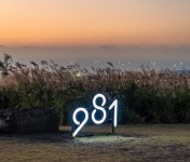 지역축제 - 9.81파크 <981 억새 바당> | 문화체육관광부