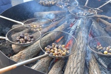 지역축제 - 겨울공주 군밤축제 | 문화체육관광부