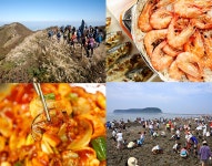 추천여행지 - 오서산 은빛 억새도 제철, 보령 쪽빛 바다도 제철 | 문화체육관광부