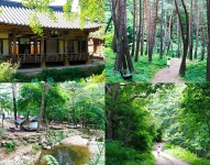 추천여행지 - 오지 마을 초록 힐링, 검마산자연휴양림과 영양자작나무숲 | 문화체육관광부