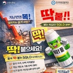 SQL 개발자 자격증(SQLD)취득 과정 수강생 모집 | 공모전 대외활동-링커리어