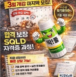 SQL 개발자 자격증(SQLD)취득 과정 수강생 모집 | 공모전 대외활동-링커리어