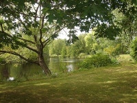 伦敦, 英国 / 英國的白金漢宮花園 | Sygic Travel 伦敦, 英国 / 英國的白金漢宮花園 