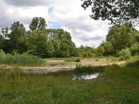 Volkspark Marienberg in Bavaria, Germany | Sygic Travel Volkspark Marienberg in Bavaria, Germany