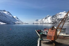 2023 Fjord Sightseeing - Eco friendly Tesla Model X