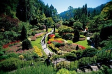 2023 Victoria and Butchart Gardens Tour from Vancouver
