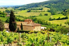 Tripadvisor | Florence to Greve in Chianti Tour with Wine Tasting Experience provided by Ciao Florence Tours and Travels | Italy