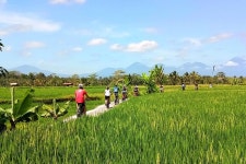 2024 (Sanur) Electric Cycling Tour from Sanur to Ubud