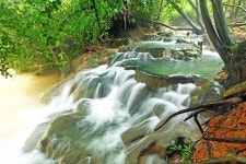 Reviews: Krabi jungle Tour (Emerald pool,Hot spring waterfall, Tiger cave) provided by Thai Holidays - Tripadvisor