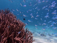 Cape Immersion Tours (2025) - All You Need to Know BEFORE You Go (with Reviews)