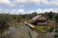 2024 Full-day Cai Rang floating market - explore countryside, make bakery - from HCM