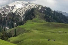 Tripadvisor | Naran Kaghan Valley Tour Package 4 Days 3 Nights  provided by Amna International | Islamabad, Pakistan