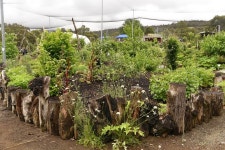Edible Forest Yarra Valley - Dixons Creek - Edible Forest Yarra Valley의 리뷰 - 트립어드바이저