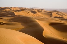 2023 Morning Dubai Desert Safari with Dune Bashing & Sandboarding & Camel Riding