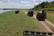 Tripadvisor |  Half Day - Minneriya National Park Safari Tour From Habarana/Sigiriya provided by JK Travels | North Central... 