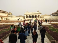 Introvac Global Private Day Tours - 뉴델리 - Introvac Global Private Day Tours의 리뷰 - 트립어드바이저