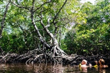 Revive Adventures (Watamu, Kenya): Address, Phone Number - Tripadvisor
