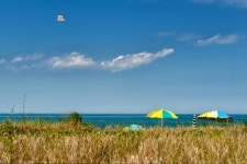 Marthas Vineyard All Star Tours - 마사스빈야드 - Marthas Vineyard All Star Tours의 리뷰 - 트립어드바이저