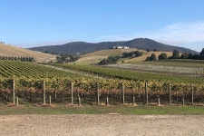 2023 Yarra Valley Public Winery Tours
