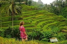 2023 Full-Day in Bali: Private Design-Your-Own Tour