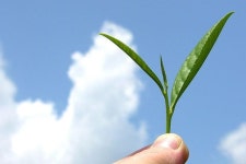 HIMALAYAN BREW TEA FACTORY - Palampur - HIMALAYAN BREW TEA FACTORY의 리뷰 - 트립어드바이저