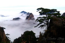 Huangshan Travel Net - 황산 - Huangshan Travel Net의 리뷰 - 트립어드바이저