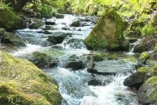 2024 Rocky Stream Gentle Nature walk & AMAZING VIEW from one of 7 Hills of Edinburgh!