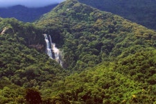 2023 safari and cultural tour all in one package.Kisampa, Mikumi & Udzungwa 6 nights 2023  safari and cultural tour all in one... 