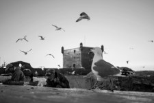 2024 10 Days backpacking morocco (Adventure)