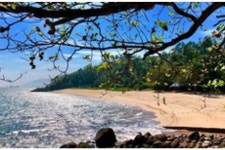 Ocean Boat Tour e Travel - 상세바스치앙 - Ocean Boat Tour e Travel의 리뷰 - 트립어드바이저