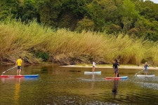 Plett River Excursions - 플레턴버그 베이 - Plett River Excursions의 리뷰 - 트립어드바이저