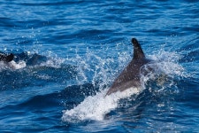 Zawaia Experience (2025) - All You Need to Know BEFORE You Go (with Reviews)