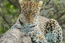 Digitata Tours & Safaris - Iringa - Digitata Tours & Safaris의 리뷰 - 트립어드바이저