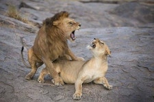 Digitata Tours & Safaris - Iringa - Digitata Tours & Safaris의 리뷰 - 트립어드바이저