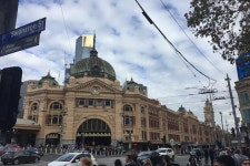 2023 Private 8 Hour Melbourne Tour including Moonlit Sanctuary Visit.