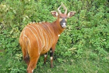 Digitata Tours & Safaris - Iringa - Digitata Tours & Safaris의 리뷰 - 트립어드바이저