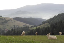 Carpathia Tours - 질리나 - Carpathia Tours의 리뷰 - 트립어드바이저