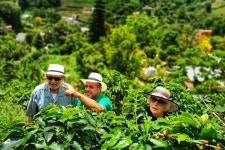 2024 Coffee Private Full-Day Tour in the Beautiful Jardin Town