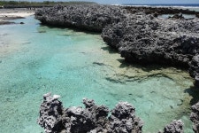 Rangiroa Excursion - 랑기로아 - Rangiroa Excursion의 리뷰 - 트립어드바이저