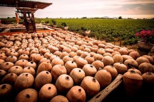 iperuano.pe - Ica - iperuano.pe의 리뷰 - 트립어드바이저