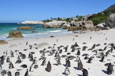 smarTours - 케이프타운 중심가 - smarTours의 리뷰 - 트립어드바이저